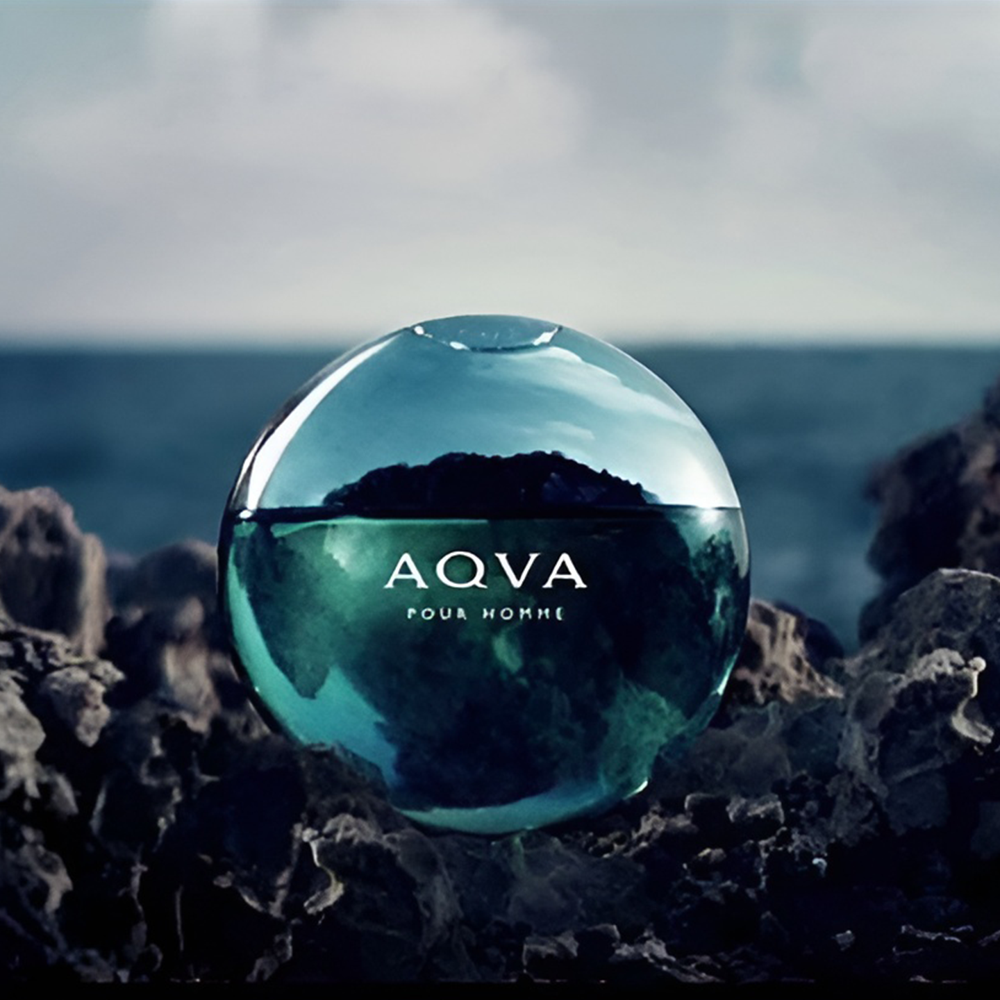 Aqva Pour Homme EDT 100ml